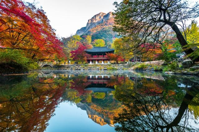 장성 백양사의 애기단풍과 사찰 입구 누각 쌍계루가 연못에 비치는 풍경이 마치 한 폭의 그림처럼 펼쳐져 있다사진전남도