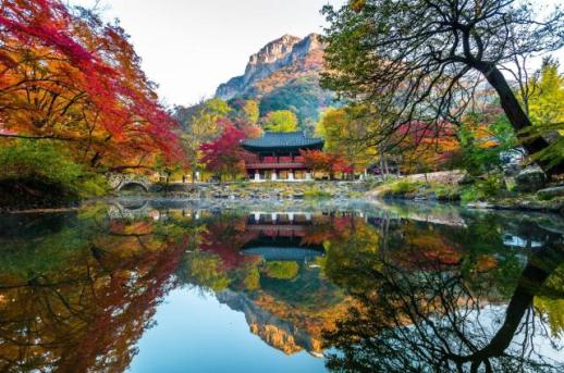 만추의 계절, 전남서 단풍길 걸으며 힐링하세요
