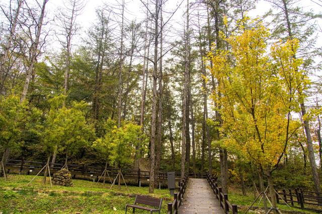 고대산자연휴양림 사진경기관광공사