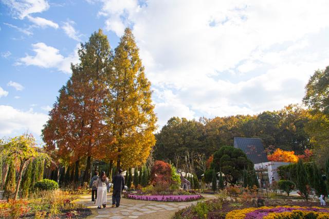 무릉도원수목원 사진경기관광공사