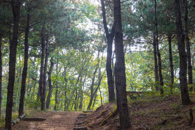 자일산림욕장 사진경기관광공사