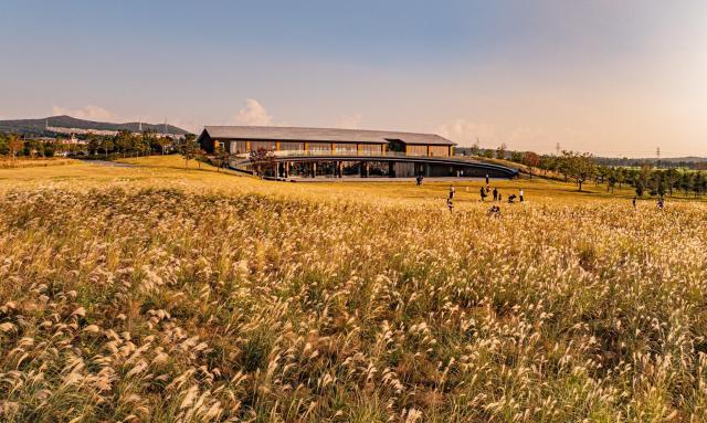 제주대동의 ‘그린스케이프’ 단지 내에 조성된 약 2만 5000 평 규모의 힐링 정원 ‘그레이트 필드’에서 관광객들이 가을의 정취를 만끽하고 있다 사진대동