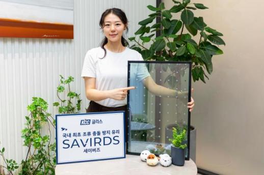 KCC unveils glass designed to prevent bird collisions