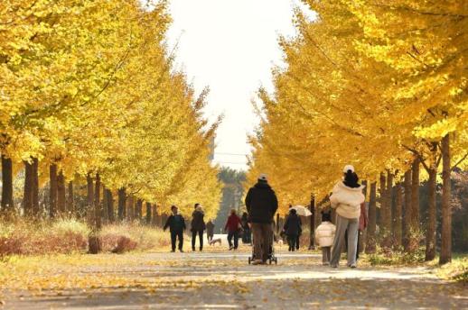 PHOTOS: Enjoy autumnal foliage before winter sets in