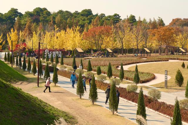 Dream Park in Incheon Nov 5 2025 AJP han Jun-gu