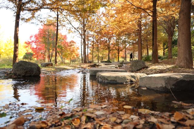 Dream Park in Incheon Nov 5 2025 AJP han Jun-gu