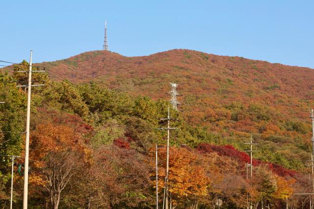 Dream Park in Incheon Nov 5 2025 AJP Han Jun-gu