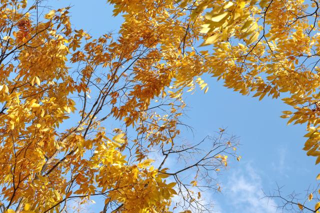 Olympic Park in Seoul Nov 2 2025 AJP Yoo Na-hyun