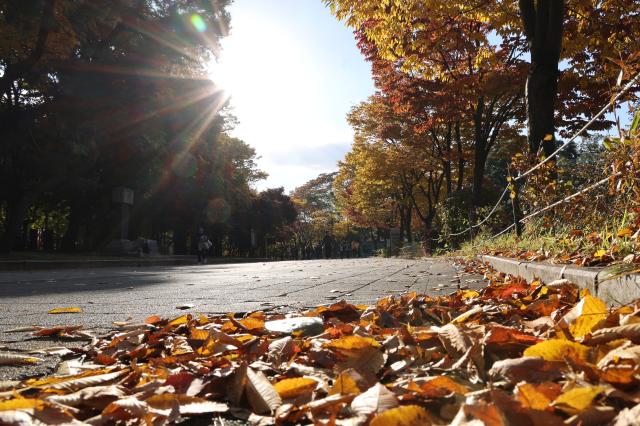 Olympic Park in Seoul Nov 2 2025 AJP Yoo Na-hyun