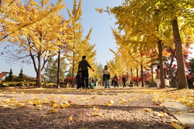 Dream Park in Incheon Nov 5 2025 AJP Han Jun-gu