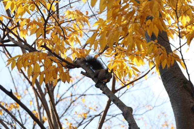 Olympic Park in Seoul Nov 2 2025 AJP Yoo Na-hyun