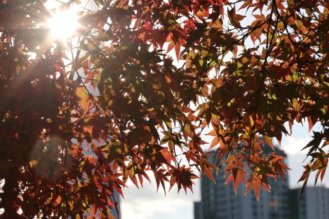 Olympic Park in Seoul Nov 2 2025 AJP Yoo Na-hyun