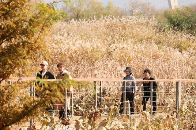 Dream Park in Incheon Nov 5 2025 AJP Han Jun-gu