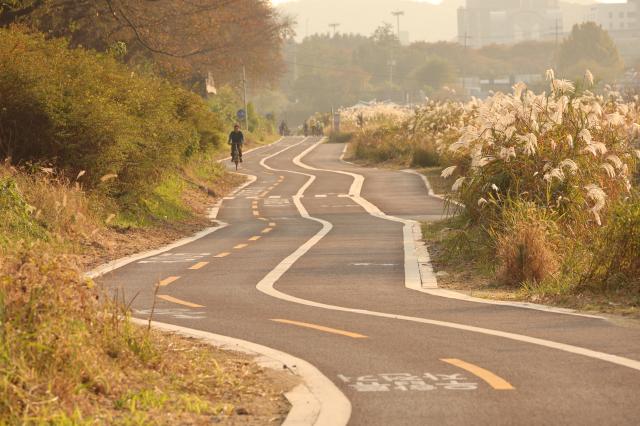 Anyangcheon Stream in Anyang Nov 5 2025 AJP Han Jun-gu