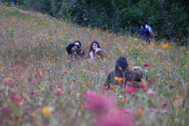 Olympic Park in Seoul Nov 2 2025 AJP Yoo Na-hyun