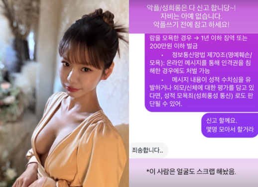 맹승지 성희롱·악플, 자비 없다…DM 공개하며 강경 대응