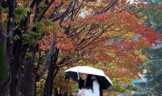 세라트젠 조승우 대표, 네이처 주최 국제 컨퍼런스서 초청 발표