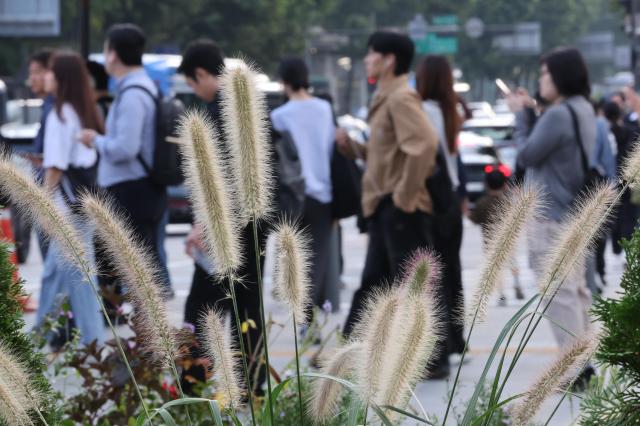 일교차가 벌어지며 쌀쌀한 가을 날씨를 보인 지난 29일 서울 종로구 광화문광장 인근에서 긴소매 옷을 입은 시민들이 횡단보도 신호를 기다리고 있다 사진연합뉴스