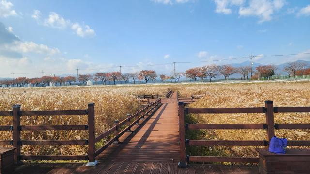 해파랑길 44코스남대천생태탐방로 사진양양군
