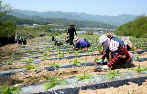 화천군, 결혼이민자 가족 470여명 계절 근로자 모집