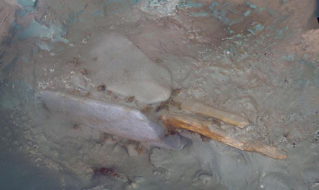 청자다발 주변에서 발견된 목제닻과 닻돌 사진국유청 