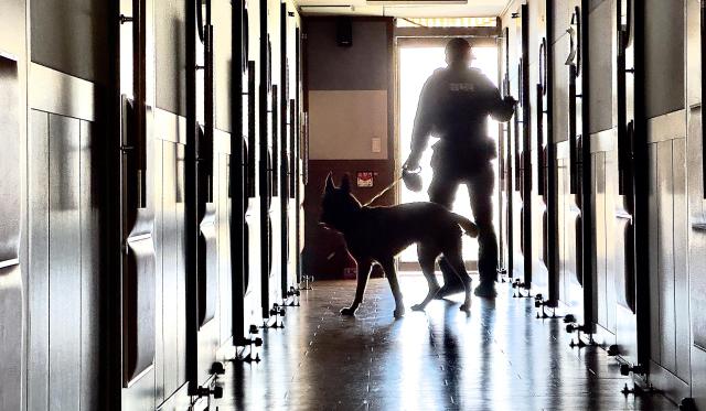 학교에서 경찰 특공대가 폭발물 수색하는 모습 사진연합뉴스