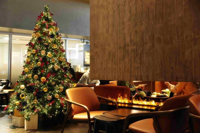 크리스마스 트리가 설치된 스타벅스 리저브 광화문 사진스타벅스코리아