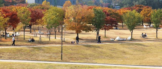 6일 서울 여의도 일대 한강공원을 찾은 시민들이 다소 포근한 날씨 속에 예쁘게 물든 단풍 아래서 휴식하고 있다 사진연합뉴스