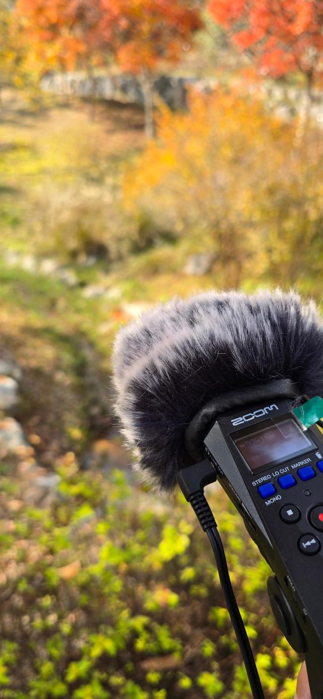 사운드 워킹 체험에 필요한 지향형 마이크 이 기기를 통해 자연의 소리를 더 세밀하게 들을 수 있다 사진기수정 기자