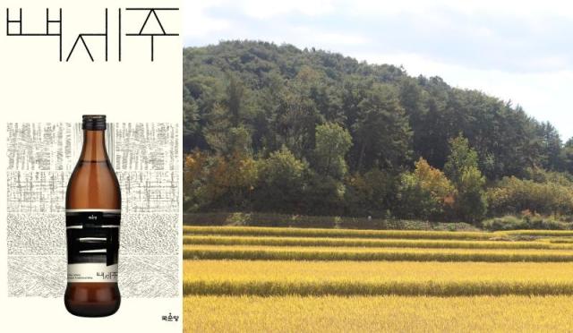 국순당 백세주 및 설갱미 재배단지 이미지 사진국순당