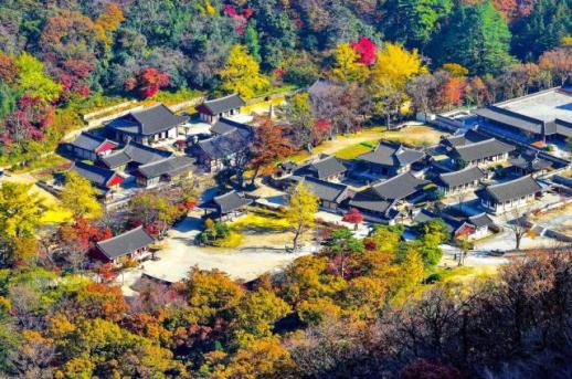 남도 사찰 템플스테이 참가비 50% 할인