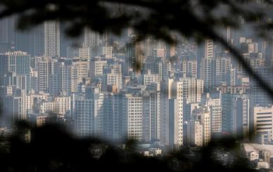 규제 피로감이 법정으로… 10·15 대책, 시장의 반격이 시작됐다