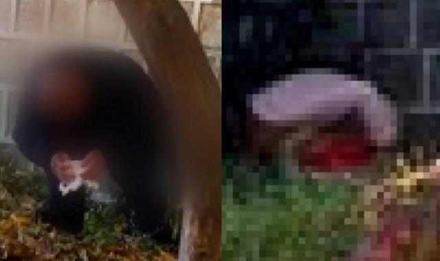 사진JTBC 사건반장 캡쳐