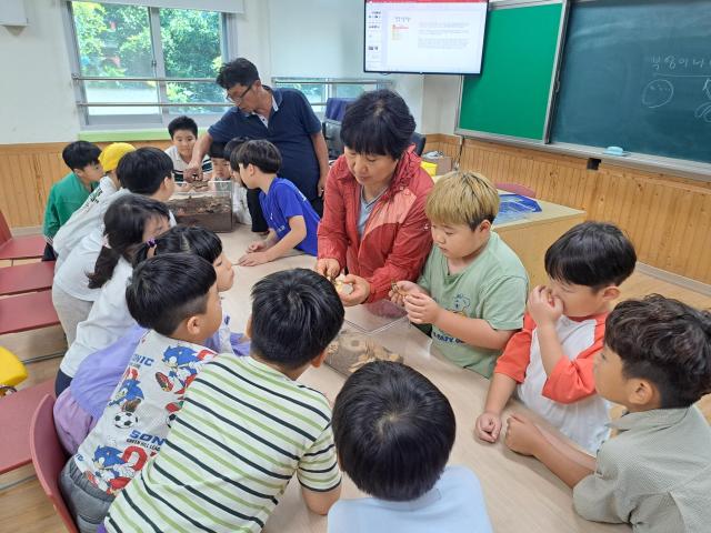 전북형 늘봄학교의 하나인 고창 남초등학교 학생들이 곤충생태수업을 진행하고 있다사진전북특별자치도교육청