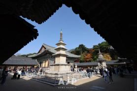 TRAVEL: Gyeongjus historic sites draw visitors amid autumn foliage