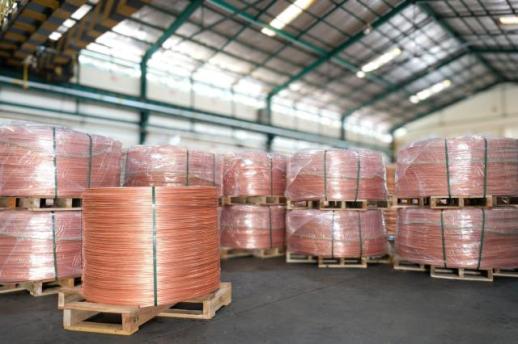 [NNA] TMS, 2025년 순이익 33% 감소에도 매출 증가