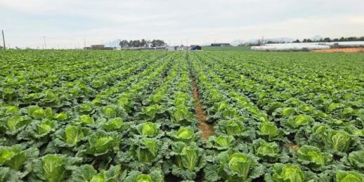 민생안정지원단, 청년 정책 수요자·전문가 간담회 개최