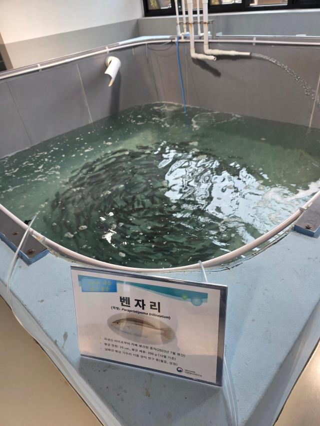 국립수산과학원 아열대연구소 사진김유진기자
