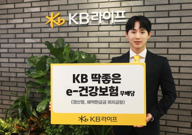 KB라이프가 온라인을 통해 간편한 가입이 가능한 KB 딱좋은 e-건강보험 무배당갱신형을 출시했다 사진KB라이프