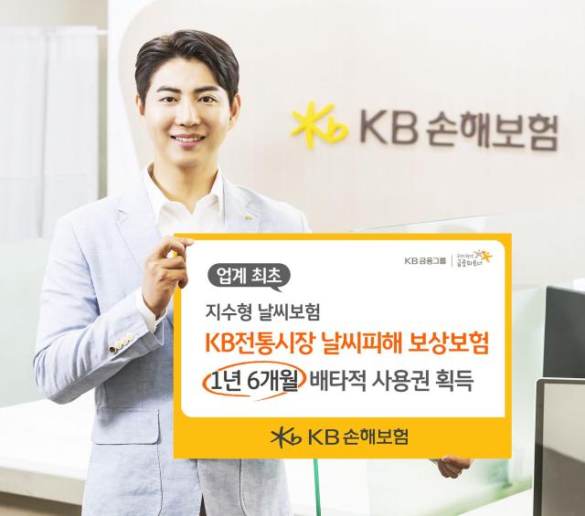 KB손해보험의 ‘KB 전통시장 날씨 피해 보상보험’이 손해보험협회로부터 1년 6개월 배타적 사용권을 획득했다 사진KB손해보험