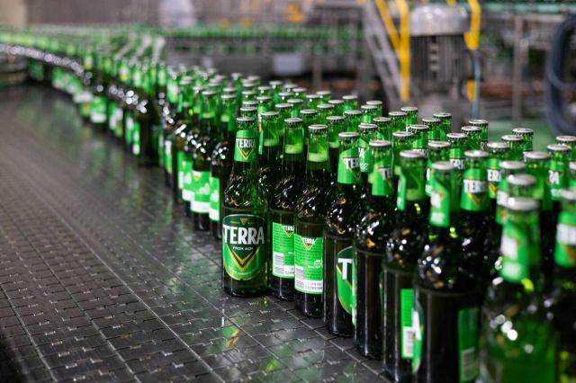 하이트진로 강원공장 테라 생산 모습 사진하이트진로