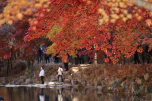 김영훈 노동장관 울산화력 붕괴 사고, 구조적 원인 철저히 규명할 것