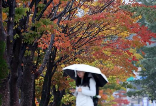 [로펌라운지] 광장, Asialaw Awards 2025 올해의 한국 로펌 상 포함 3개 분야 수상