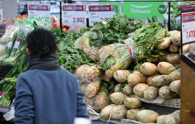 辛奇腌制季将至 原料价格趋稳