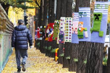 披挂着针织树衣的林荫树