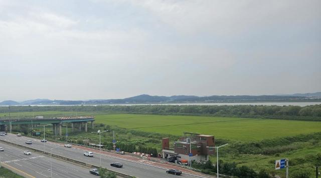 고양시 장항습지 전경 사진고양시