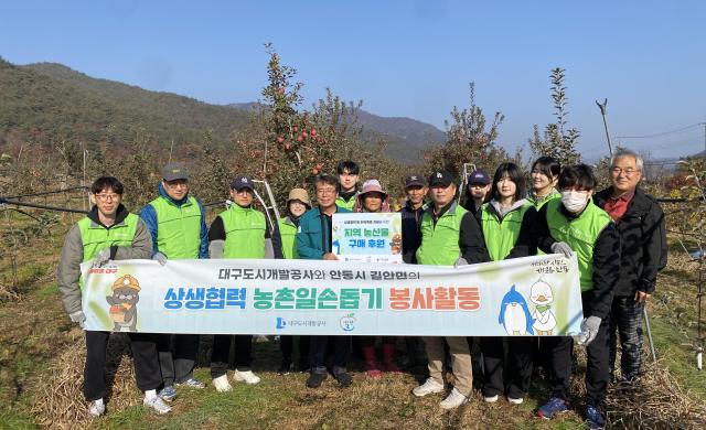 대구도시개발공사는 수확 철 농가의 인력 부족 해소와 지역 상생을 위해 사과 농가 일손 돕기 봉사활동을 진행했다 사진대구도시개발공사