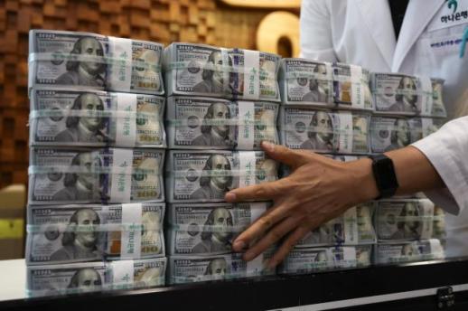 South Koreas external debt rises to $738 billion, but stability indicators improve