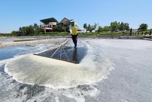 정부, 美대사관 신안 염전노예 진상 조사에 인신매매 보고서 작성 과정서 소통 
