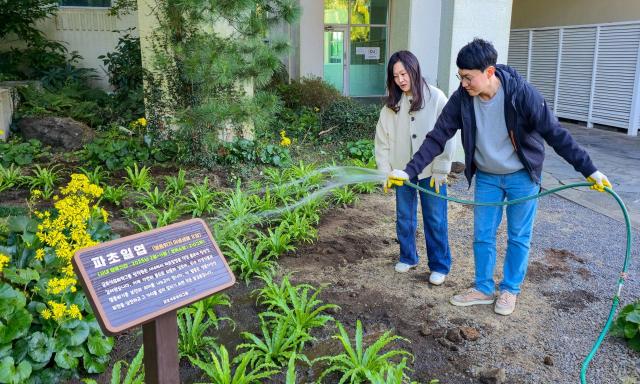 금호석유화학그룹 직원이 파초일엽을 관리하고 있다 사진금호석유화학